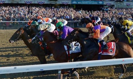 Choose Your Bet: A Definitive Betting Guide to the Belmont Stakes