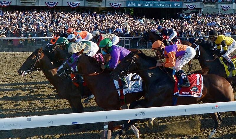 Definitive Betting Guide to the Belmont Stakes