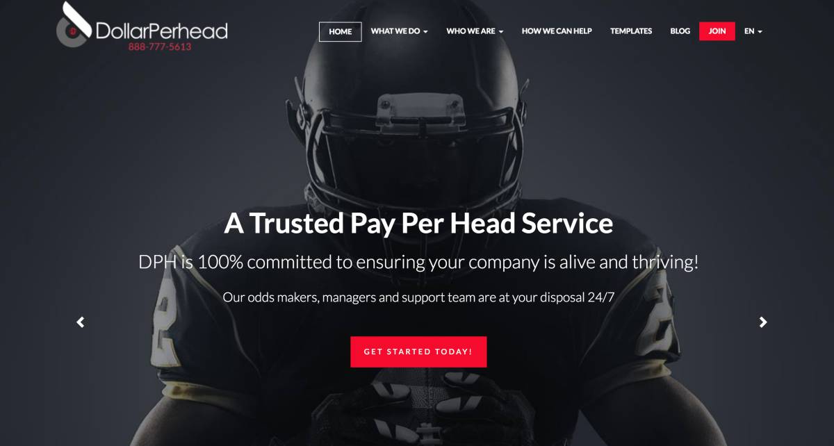 DollarPerHead.com Pay Per Head Review