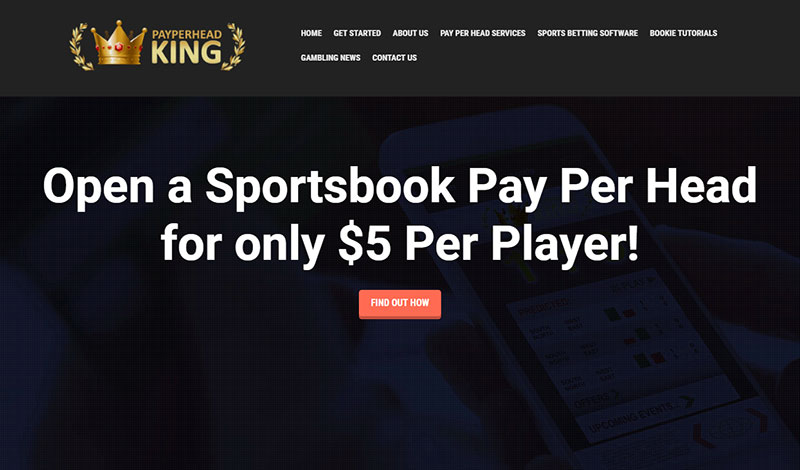 PayPerHeadKing.com Sportsbook Pay Per Head Review