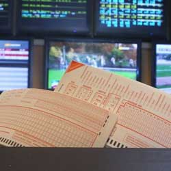 Growth of Global Sports Betting Market