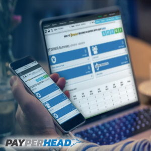 PayPerHead’s unique value proposition