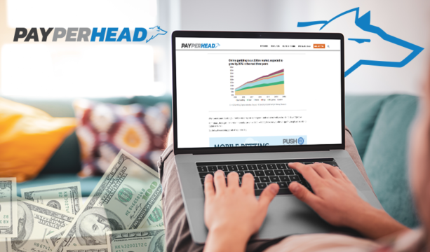 PayPerHead bookie software