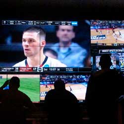 Sports Betting Can Boost TV Engagement According to Study