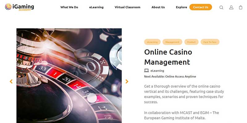 iGaming Academy: Online Casino Management