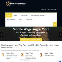 9DollarPerHead.com Pay Per Head Review