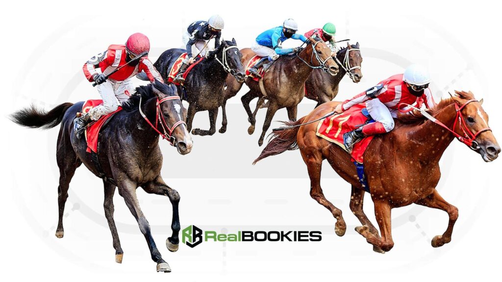 RealBookies Online Racebook Software