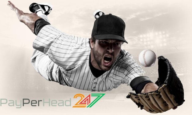 Baseball Season – Is it Profitable For a Bookie?