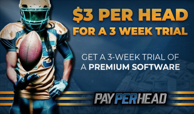 Try A Premium Sportsbook Software—Just $3 Per Head for 3 Weeks!