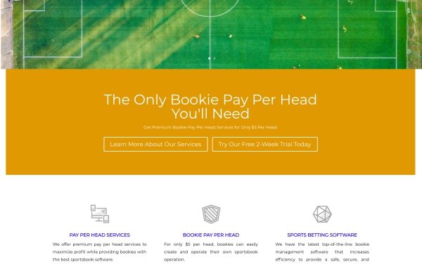 EasyPayPerHead.com Sportsbook Pay Per Head Review