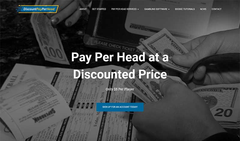 DiscountPayPerHead.com Pay Per Head Review