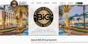 BiG Africa Summit